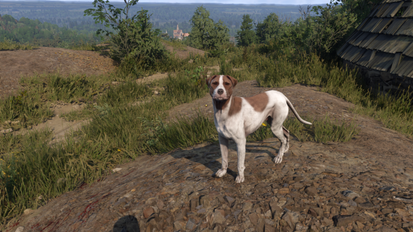 На месте заключения сделки половцы, в знак
уважения ее условий, убивали и закапывали собаку. Так что где вы найдете
Барбоса в начале игры? Правильно, в лагере половцев. Барбоса вы найдете живым, но на всякий случай не
заключайте с половцами сделок.