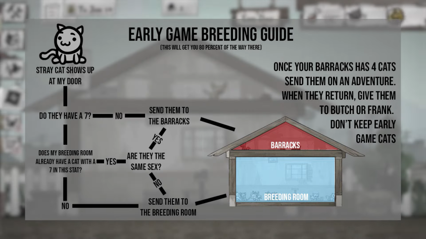 Если вы хотите получить себе идеального кота, то придётся немного потрудится. Алгоритм не очень сложный, но самому можно сразу так и не понять, как лучше это сделать.