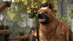 Пёс, сами придумываешь ему имя