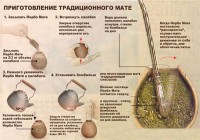 Небольшой обзор Польши и учёбы в ней=)