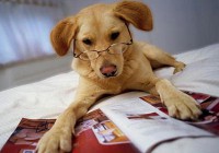 50 цитат из видеоигр