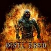 Disturbed