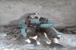 Выжить в постапокалисис.