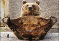 Мега анонс! Игра от создателей «Медведь горит в машине 2» и «Кто подставил красный квадратик»