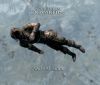 This is Skyrim