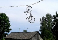 Лео на проводе… ФЕН НЕ ОТВЕЧАЕТ!