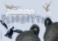 Flugratten. Кратко