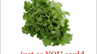 Теория. матан.