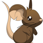 Transformice. Основы.