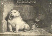 Потерянные во времени: музыка. Pavlov’s Dog.