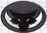 Warhammer 40k — Лунные Волки