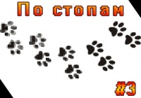По стопам#3