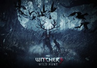 Видео обзор The Witcher 3: Wild Hunt