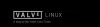 Left 4 Dead 2 на Linux оказался быстрее, чем на Windows.