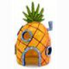 «Lives in a pineapple under the sea!»
