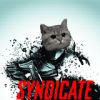 Поиграй с Котом… в Syndicate