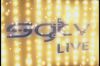 Новогодняя заставка SGTV live