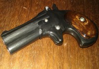 Remington Double Derringer, ёмкостью в 2 ГБ.