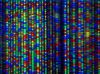 Прорыв: создан искуственный аналог ДНК человека