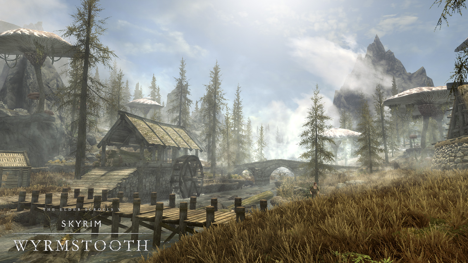 Steam api dll для skyrim фото 48