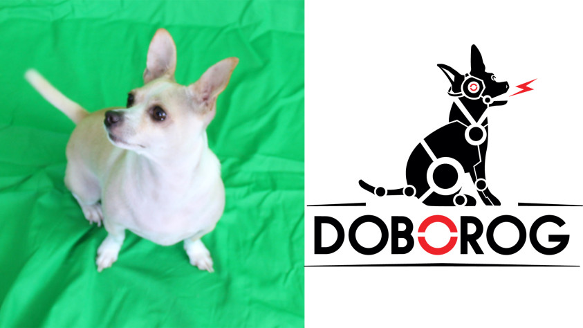 Основой для логотипа Doborog Games, предположительно послужил собакен одного из&amp;nbsp;разработчиков.