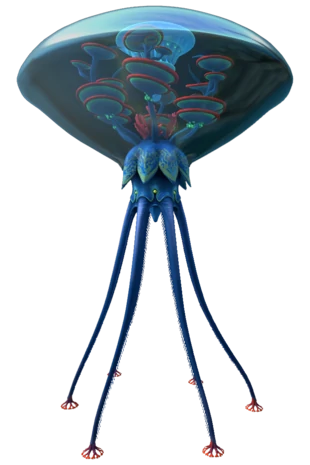 это че? зачем две одинаковые фотки, так посмотрим......а! это папочка(мамочка) медузы с прошлой картинки. Как я бы не хотел злиться, но когда ты проплываешь мимо него, прям страшно