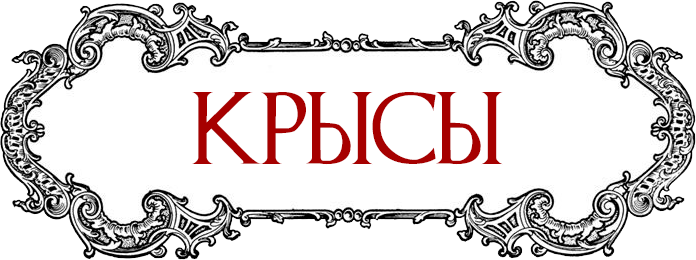 A plague tale innocence о чем игра. Смотреть фото A plague tale innocence о чем игра. Смотреть картинку A plague tale innocence о чем игра. Картинка про A plague tale innocence о чем игра. Фото A plague tale innocence о чем игра