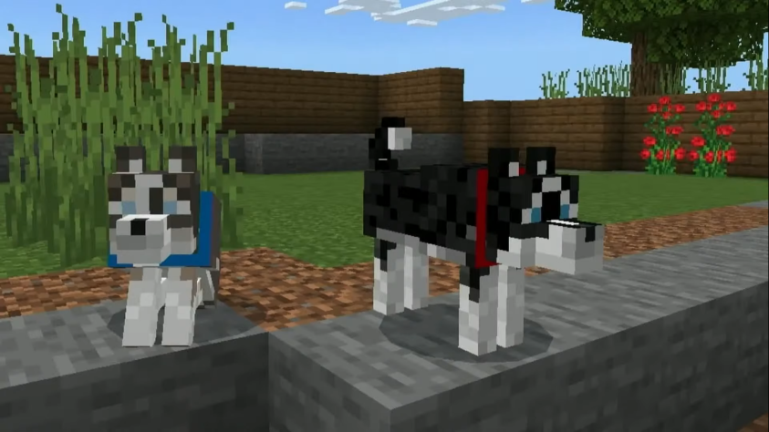 Эти модели своих собак сделала ведущая Minecon.