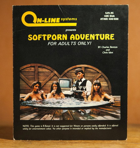 Роберта та ещё затейница — в 1981 году она снялась для эротической обложки текстового квеста Softporn Adventure (на фото справа).