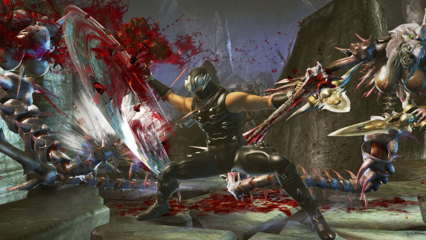 Кадр игрового процесса Ninja Gaiden 2