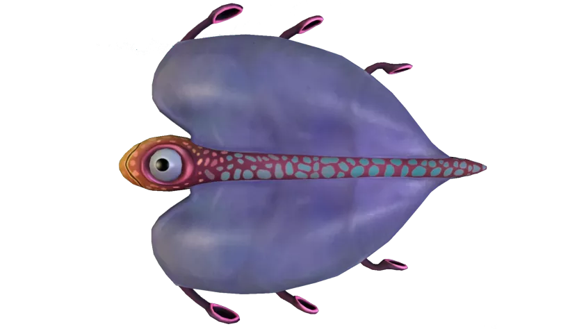 Bladderfish