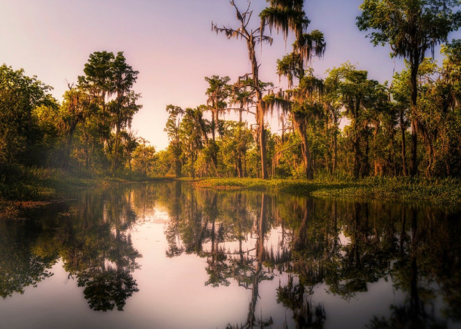 Природа Луизианы в ее лучшем виде