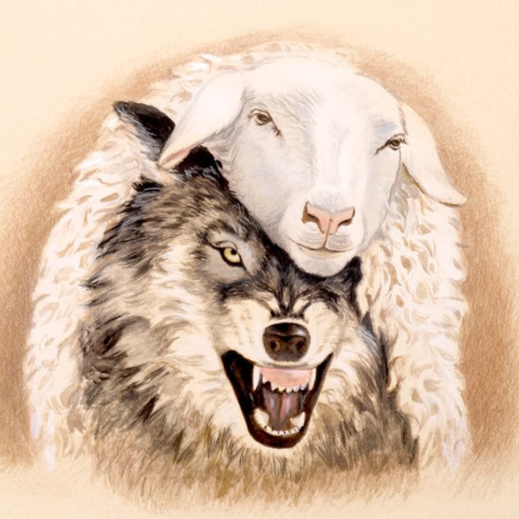 Однако для нас всё же привычнее фраза: &quot;Волк в овечьей шкуре&quot;