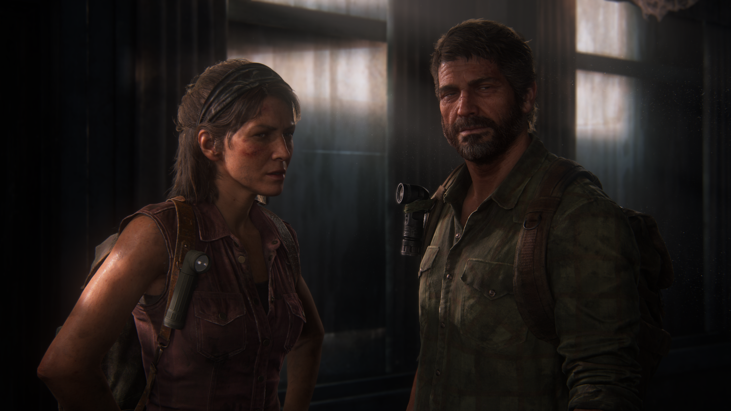 The last of us part 2 pc