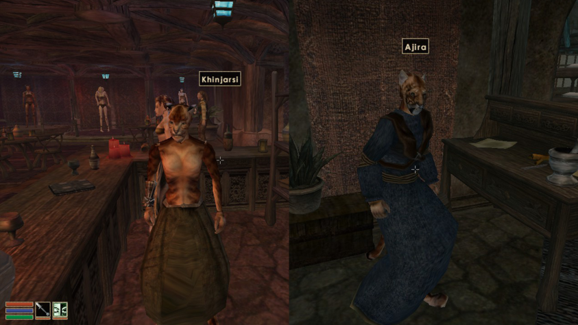 Сутай и сутай-рат — обладатели характерных пружинистых лап. Представители этой породы в изобилии появлялись в Morrowind.