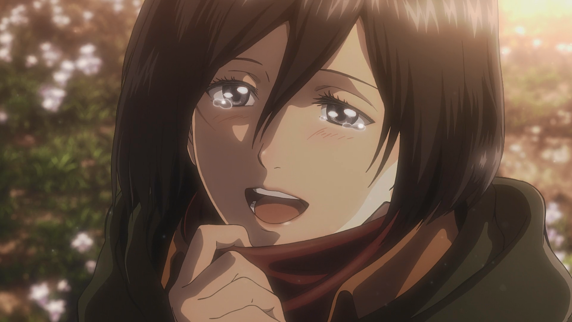 Touching Flash Assault On Mikasa