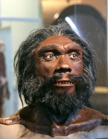 Homo Heidelbergensis&amp;nbsp;— промежуточная ветвь между Homo Erectus и&amp;nbsp;Homo Sapiens