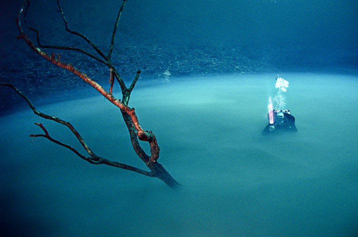 &amp;nbsp; Температура в подводном озере составляет 18 °С, что гораздо комфортнее 4 °С в окружающем океане.