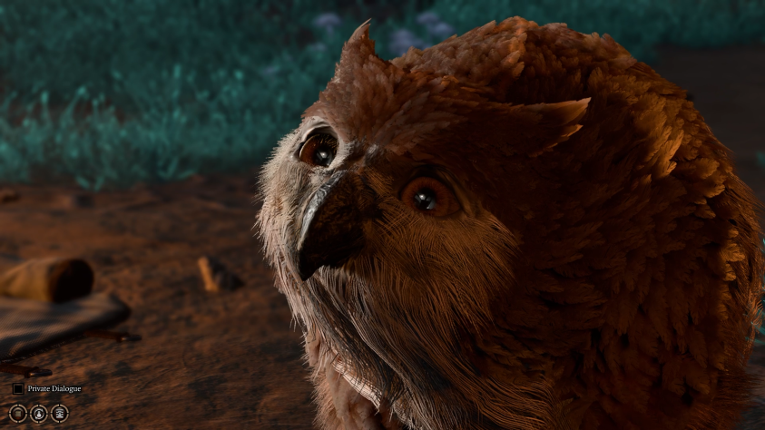 А&amp;nbsp;это Совиный медведь (ориг. Owlbear).