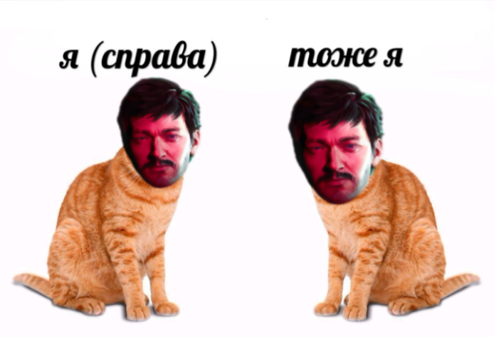 «Это не мем, это моя жизнь»