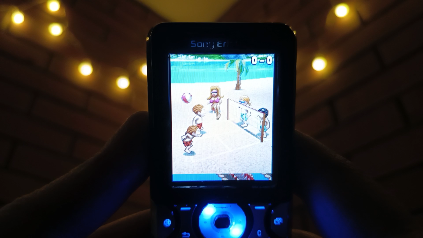 Playman Beach Volley 3D