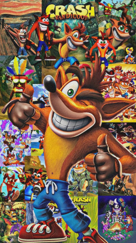 Crash Bandicoot&amp;nbsp;— серия игр, в которой игрок управляет Крэшем Бандикутом и проходит через 32 уровня на трёх островах.&amp;nbsp;