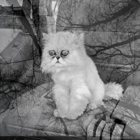 А&amp;nbsp;так это ощущалось, когда сгорала третья по&amp;nbsp;счету приставка.