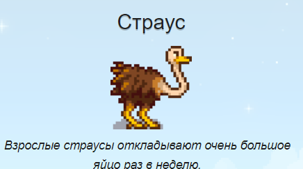 Страус
