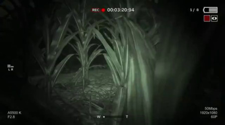 Outlast II: Прятки на кукурузном поле