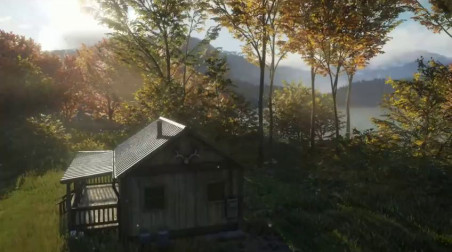 TheHunter: Call of the Wild: Геймплей игры