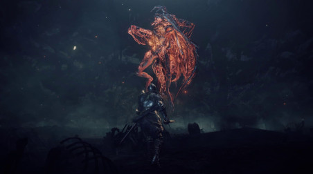 Dark Souls III: The Ringed City: Предзаказ