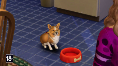 The Sims 4: Gamescom 2017. Кошки и собаки