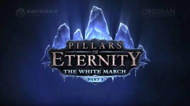 Pillars of Eternity: The White March: Анонс