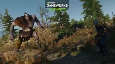 The Witcher 3: Wild Hunt: Технологии NVIDIA